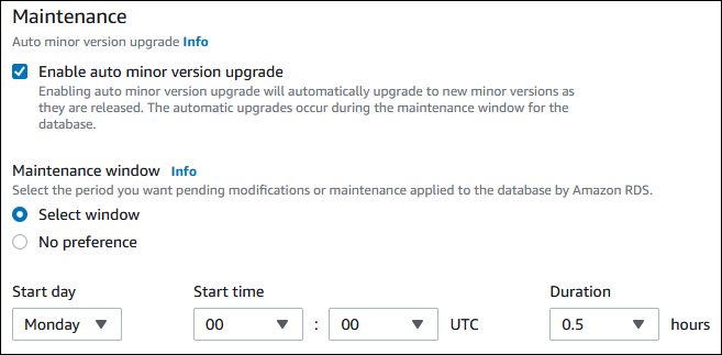 
                Auto minor version upgrade setting
            