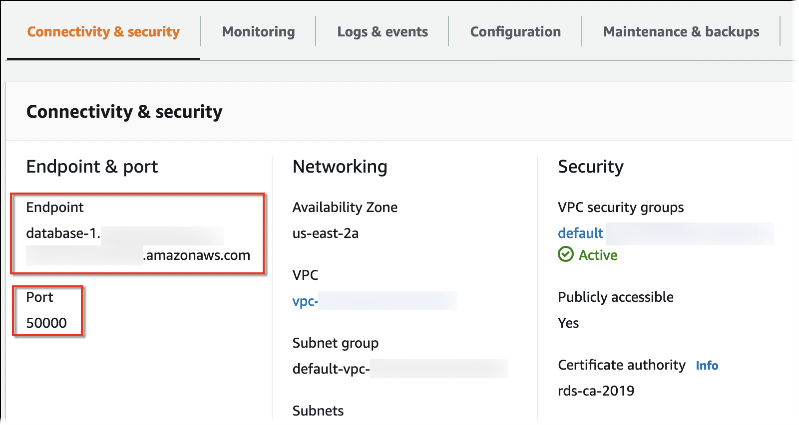 Connectivity and security tab for a DB instance that shows the endpoint and port.