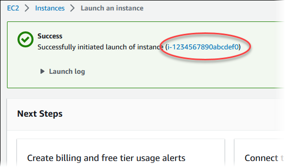 
                    EC2 instance identifier on Launch Status page.
                