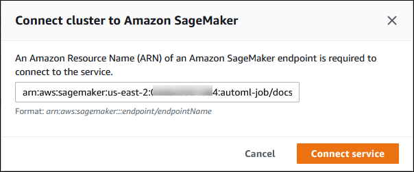 
            显示在配置过程中输入的 SageMaker 端点的 Amazon 资源名称（ARN）的图像。
          