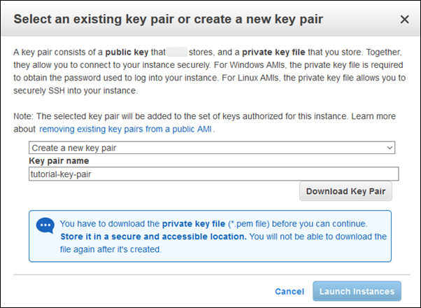 
                                选择“Existing Key Pair（现有密钥对）”或“Create a New Key Pair（创建新的密钥对）”
                            