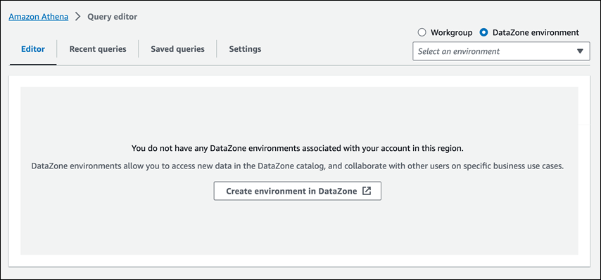 
                    选择 DataZone 环境。
                