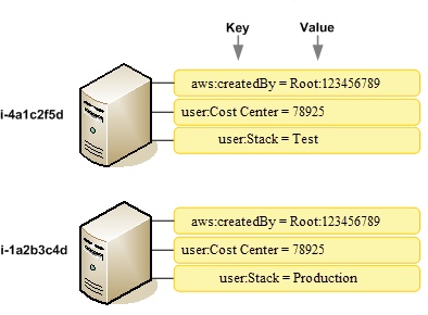 
            两个 Amazon EC2 实例的标签键示例。
        