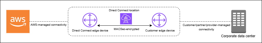 
			MACsec 概述
		