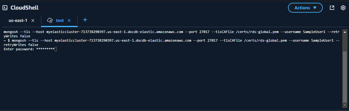 请求用户密码的群集 CloudShell 屏幕