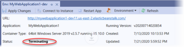 Environment（环境）选项卡中 Status（状态）和其他属性的 Visual Studio 屏幕截图。