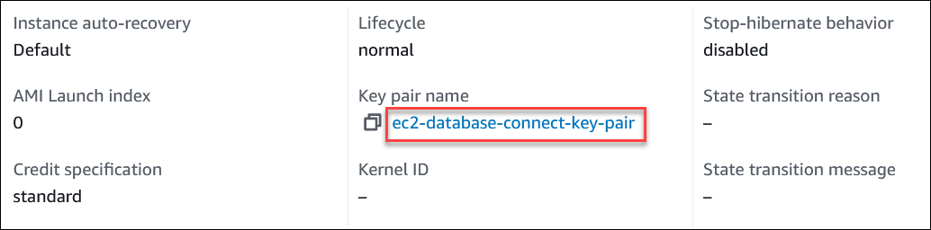 
                            EC2 key pair name on Details tab of Instance page.
                        
