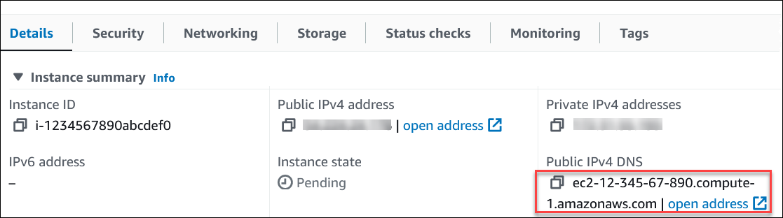 
                            EC2 public DNS name on Details tab of Instances page.
                        