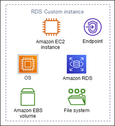 
                RDS Custom DB instance components
            