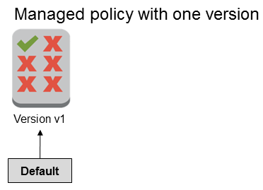 
        Managed policy with a single version, which is the default version
      