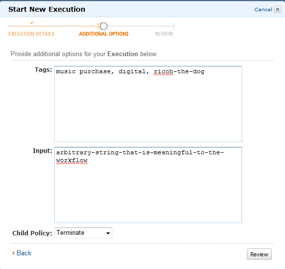 
            Start New Execution : Additional Options
          