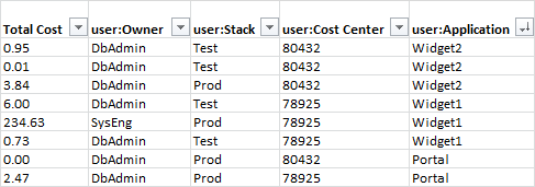 Partial cost allocation report showing your tag names, which are also called keys, as columns.