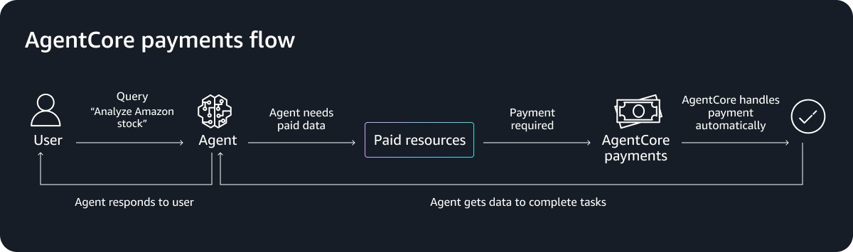 Key personas for AgentCore payments