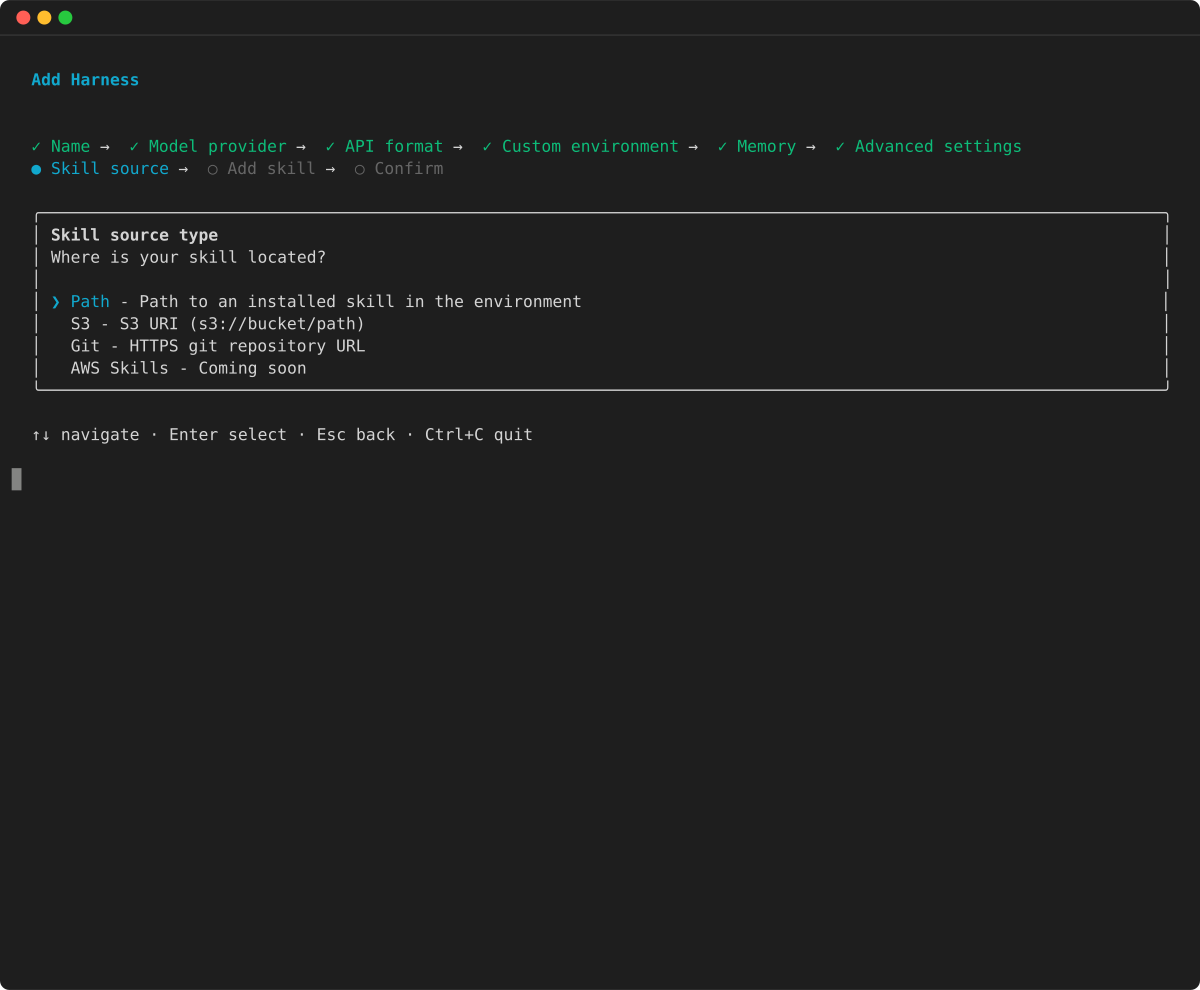 Skill source type: Path, S3, or Git