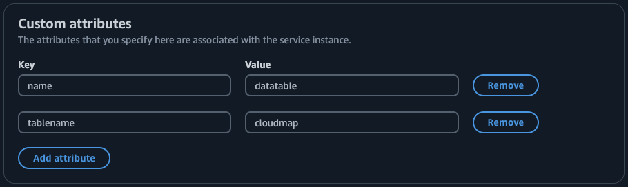 The custom attributes for the data-service instance.