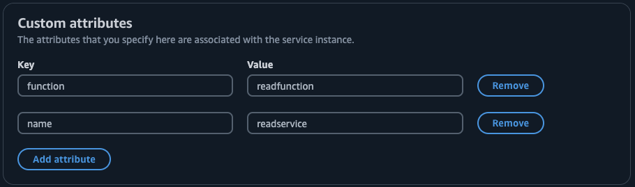 The custom attributes for the read-instance instance.