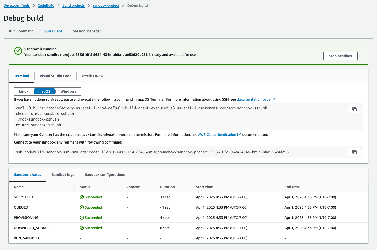 The SSH sandbox connection after the status changes to "RUN_SANDDBOX".