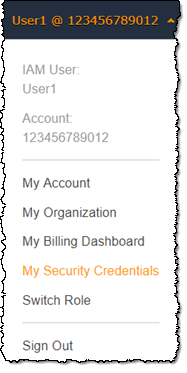 
            Amazon Management Console My Security Credentials link
          