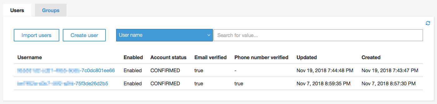 Creating User Accounts As Administrator Amazon Cognito