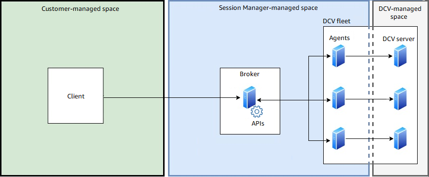 
				NICE DCV Session Manager components
			