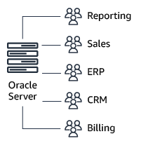 Traditional Oracle model