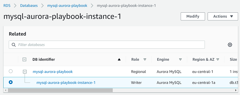 
                           Database instance with the writer role
                        