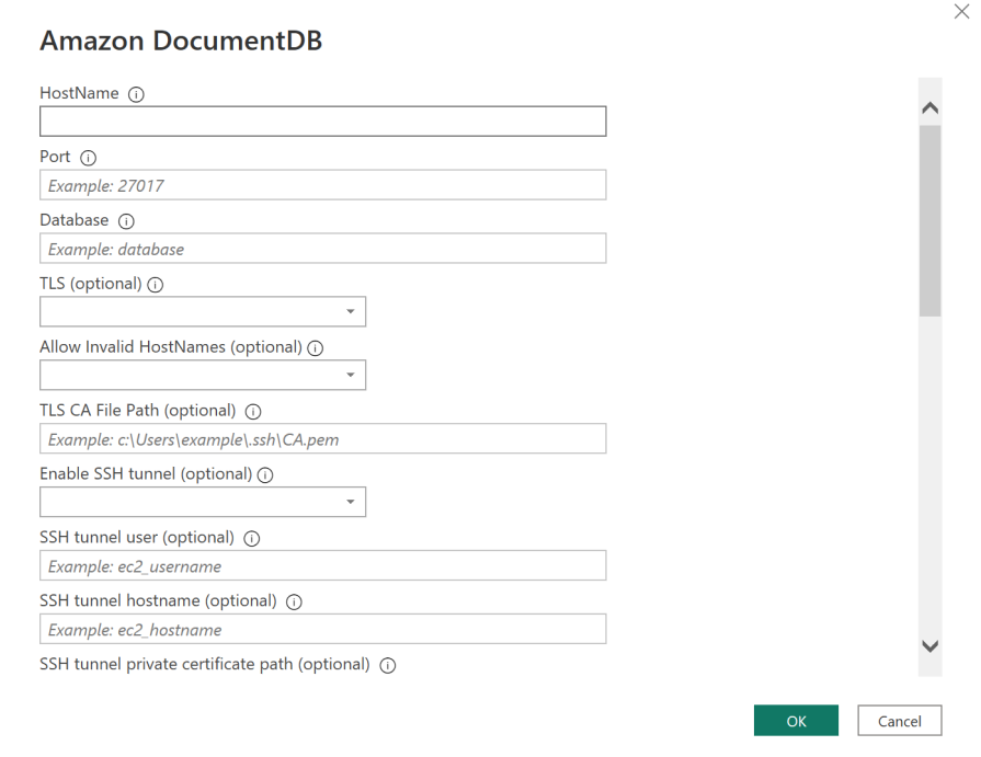 Form with connection detail input fields for an Amazon DocumentDB cluster.