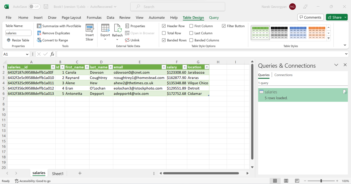 Excel spreadsheet showing five rows of data from the selected salaries table.