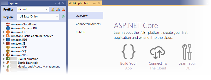Visual Studio screen shot application panel