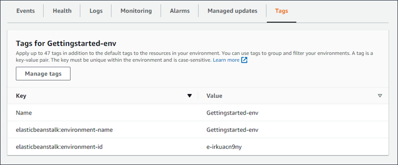 
              The tags page of the Elastic Beanstalk console
            