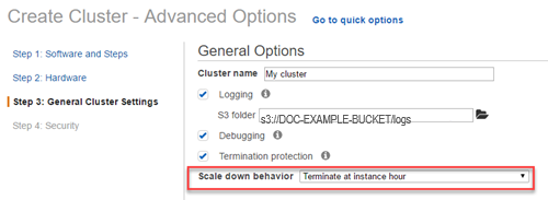 
					Scale-down configuration for Amazon EMR instance termination.
				