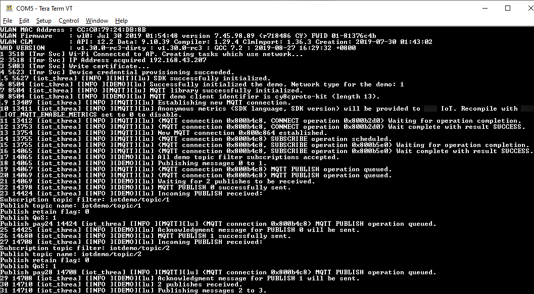 Screenshot of the terminal output after you build the aws_demo project.