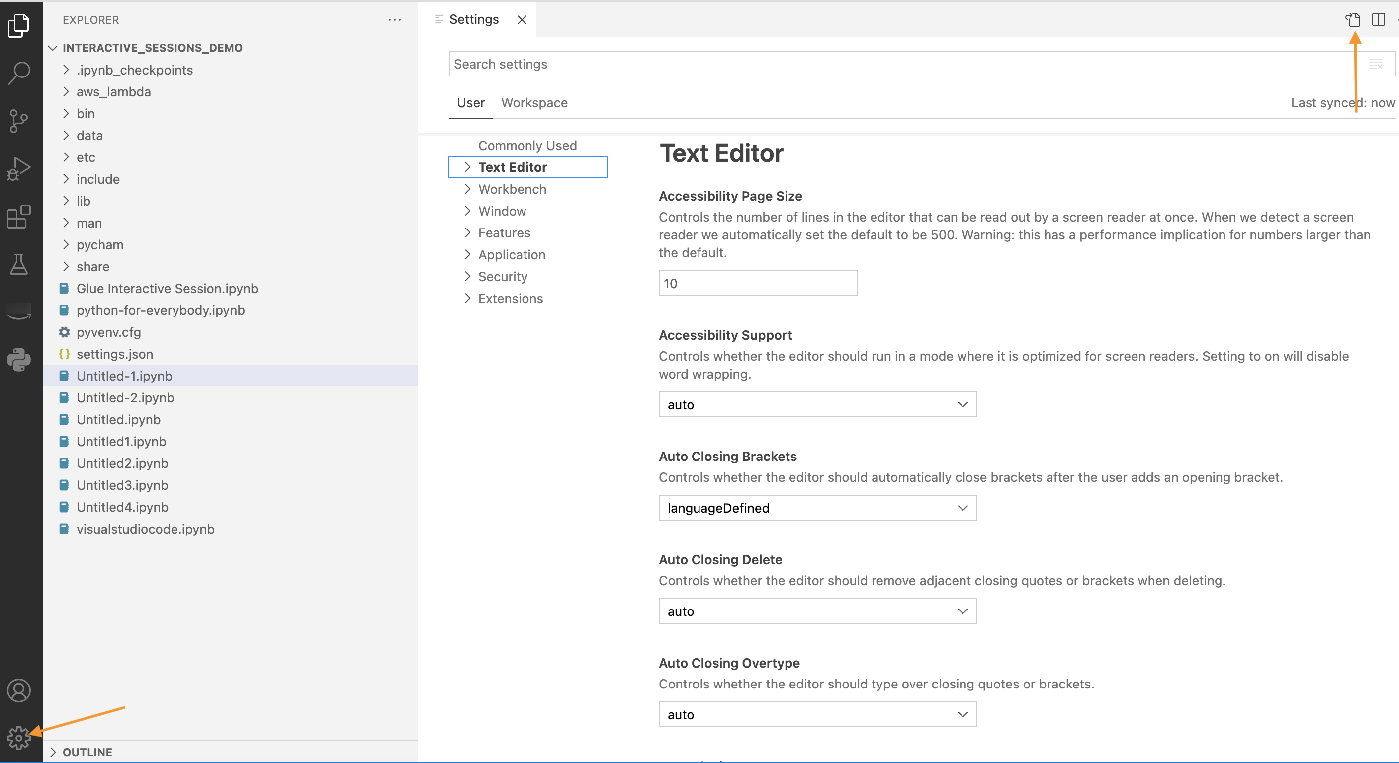 
                  The screenshot shows the settings tab, Text Editor page.
                