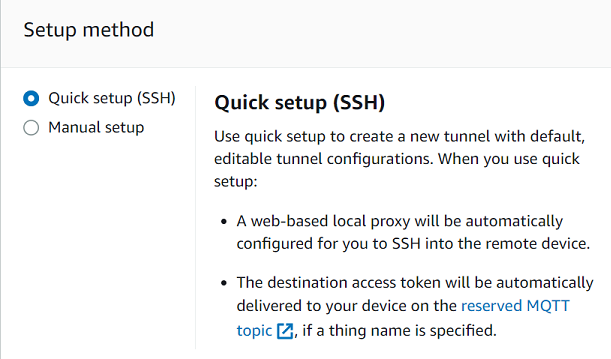Setup method section with options for quick setup using SSH or manual setup, explaining the quick setup automatically configures proxy and access token.