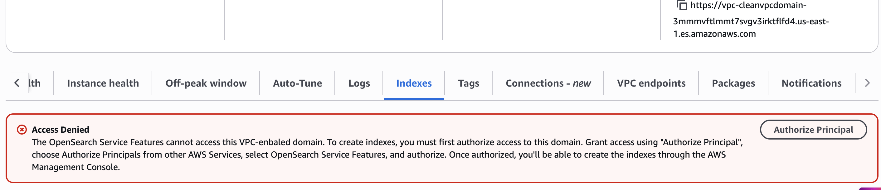 Indexes tab showing an access denied banner with an Authorize Principal button.