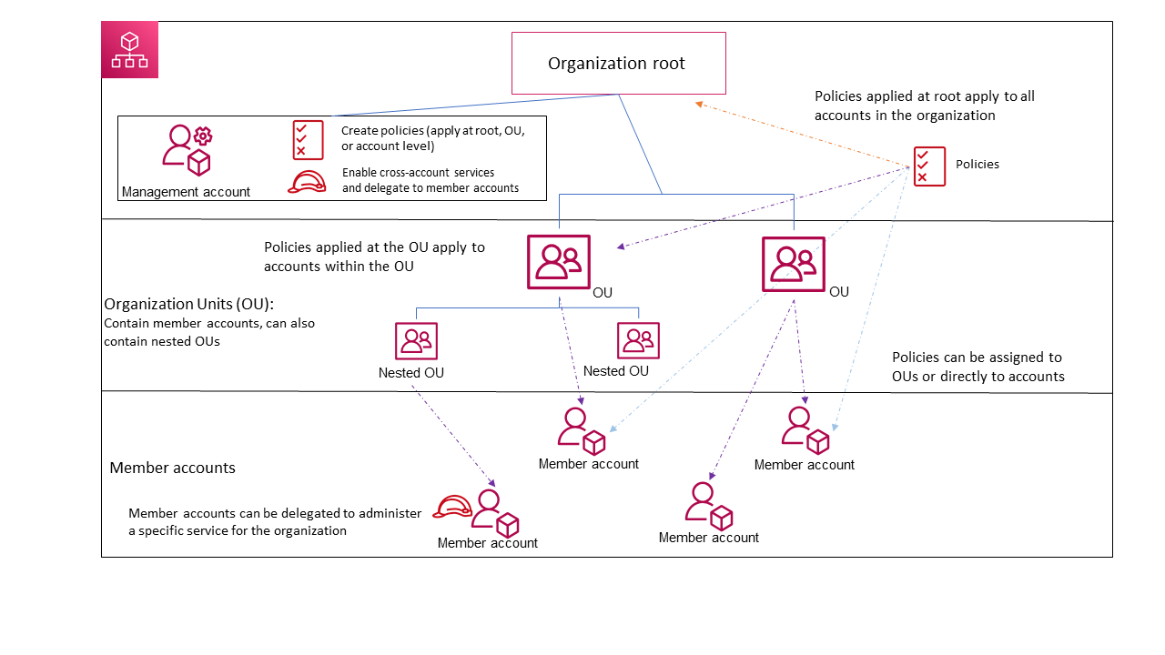 Diagram of basic organization