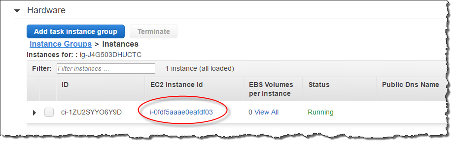 
                        A screenshot highlighting an Amazon EC2 instance ID value in the Amazon EMR console.
                     