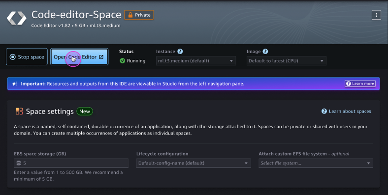 The space detail page for a Code Editor application in the Studio UI.