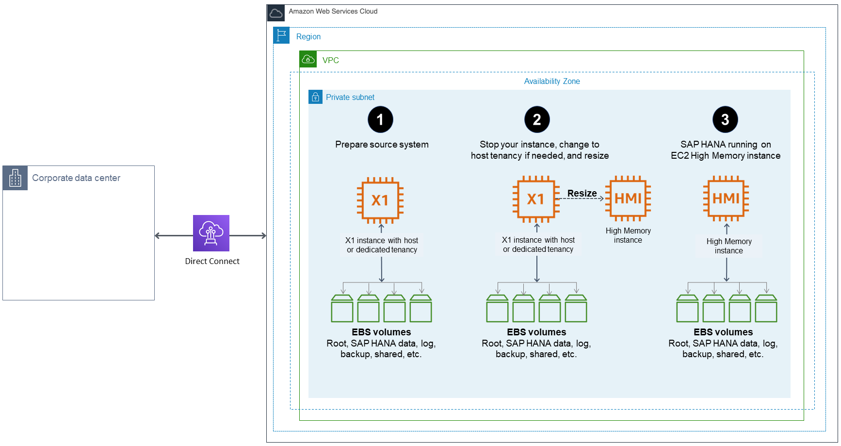 
          Diagram of Option 1: Resizing an Existing EC2 Instance with
            Host or Dedicated Tenancy
        