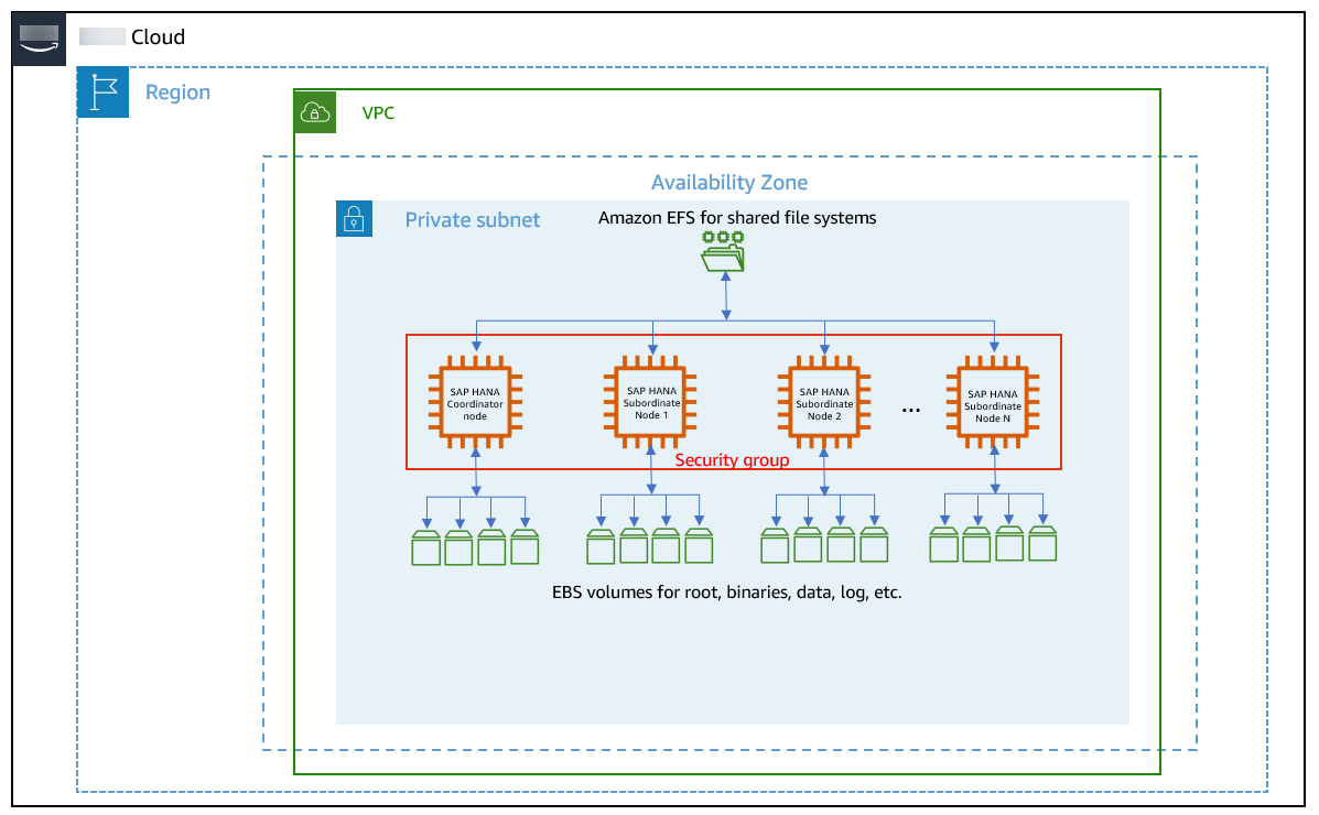 Amazon configured for scale-out SAP HANA workloads.