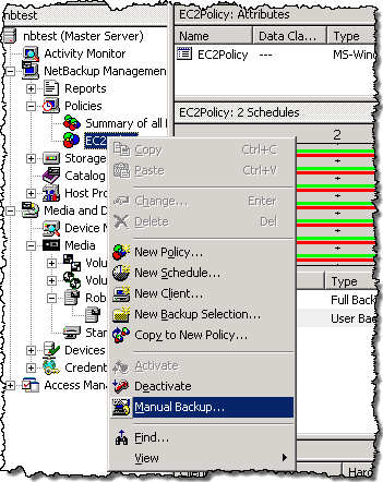 NetBackup main screen showing policy context menu with manual backup highlighted.