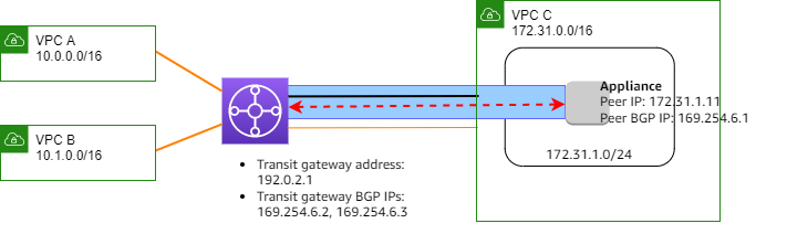 Transit gateway Connect attachment and Connect peer