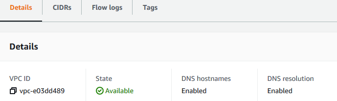 
              The DNS Settings tab
            