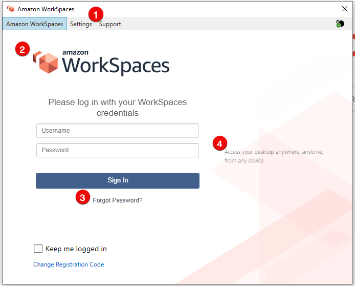 
               WorkSpaces client sign in screen
            