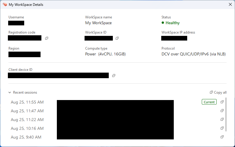 The My WorkSpace Details panel showing key information about the WorkSpace.