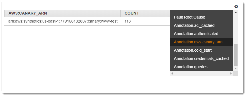 Example annotation filter indicating the canary node.