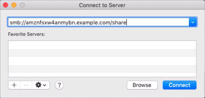 
                      Mac 连接屏幕截图显示文件系统窗格的 DNS 和共享名称。
                    