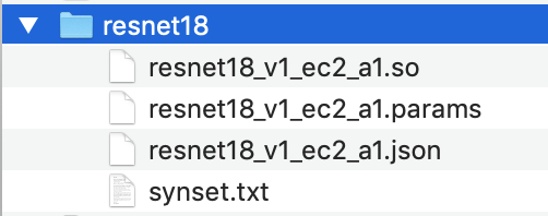 
                            已编译的 resnet18 模型目录中包含四个文件。
                        