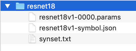 
          resnet18 目录中包含三个文件。
        