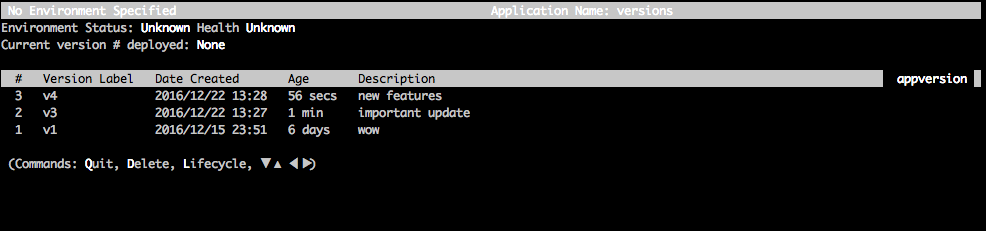 Application versions list showing three versions with labels, creation dates, ages, and descriptions.